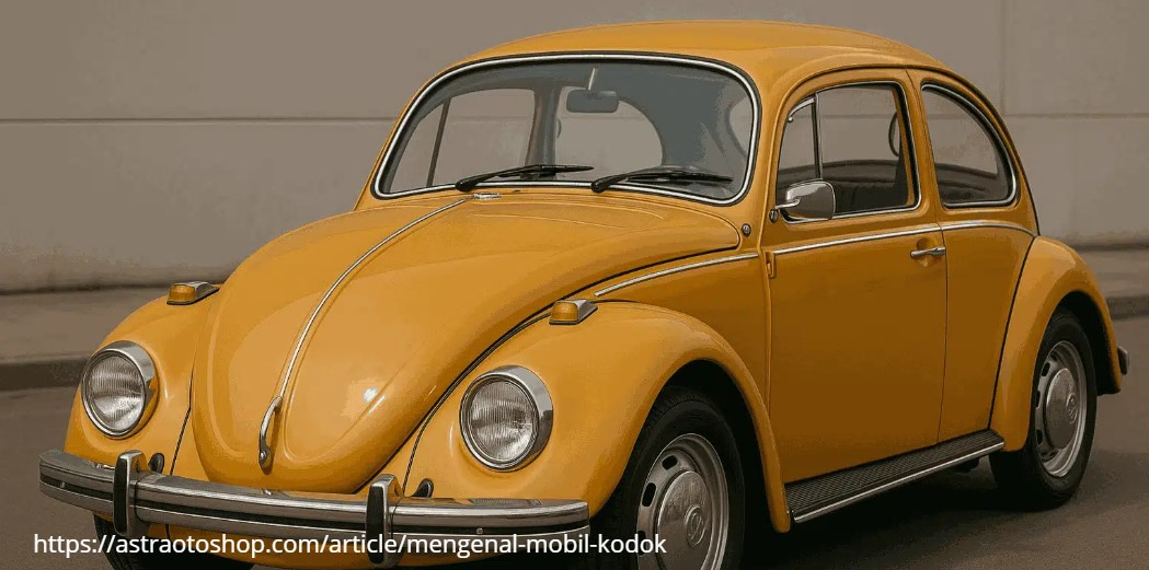 mobil vw kodok