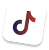 TikTok Logo